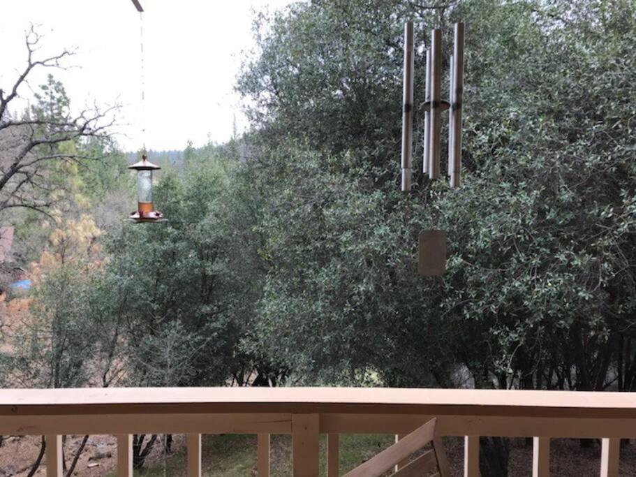 גרובלנד Yosemite Haven @ Pine Mountain Lake. Dog Friendly! מראה חיצוני תמונה