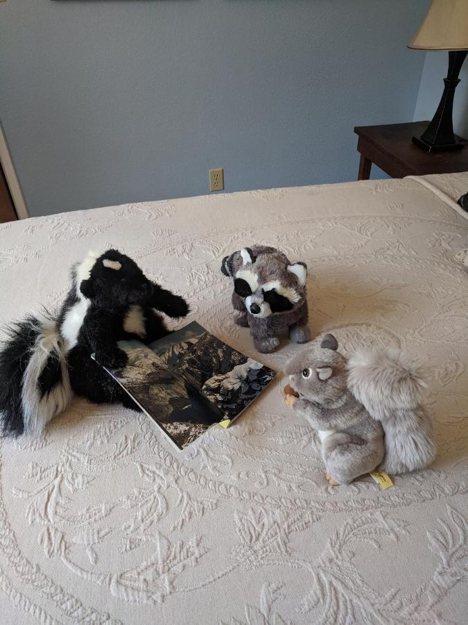 גרובלנד Yosemite Haven @ Pine Mountain Lake. Dog Friendly! מראה חיצוני תמונה
